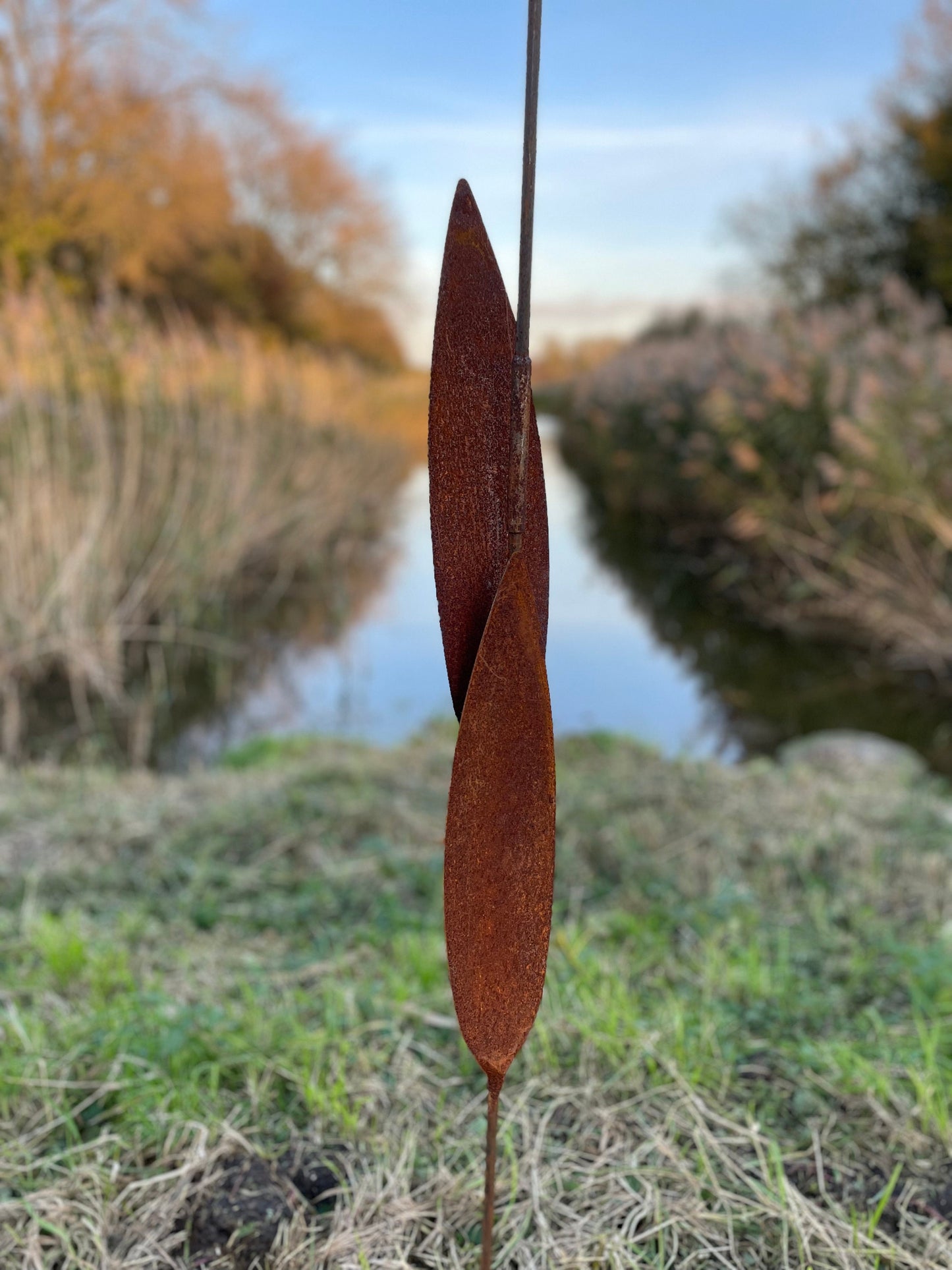 Tulip Silhouette – Iron Sculpture. 55x1x160cm