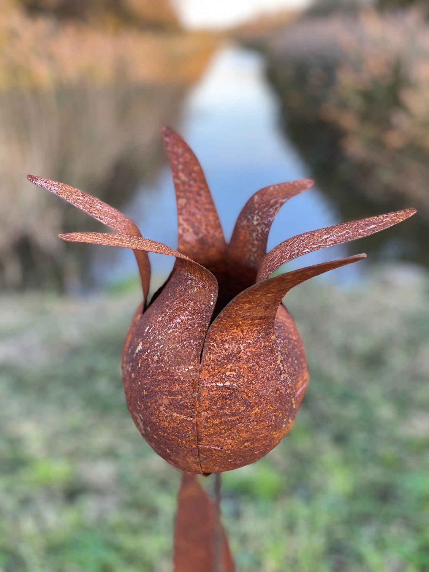 Tulip Silhouette – Iron Sculpture. 55x1x160cm