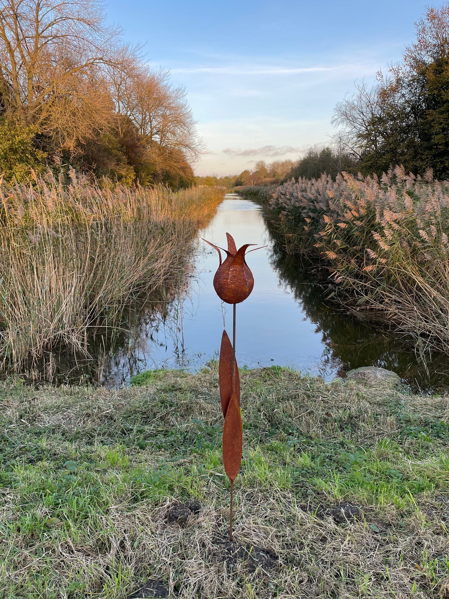 Tulip Silhouette – Iron Sculpture. 55x1x160cm