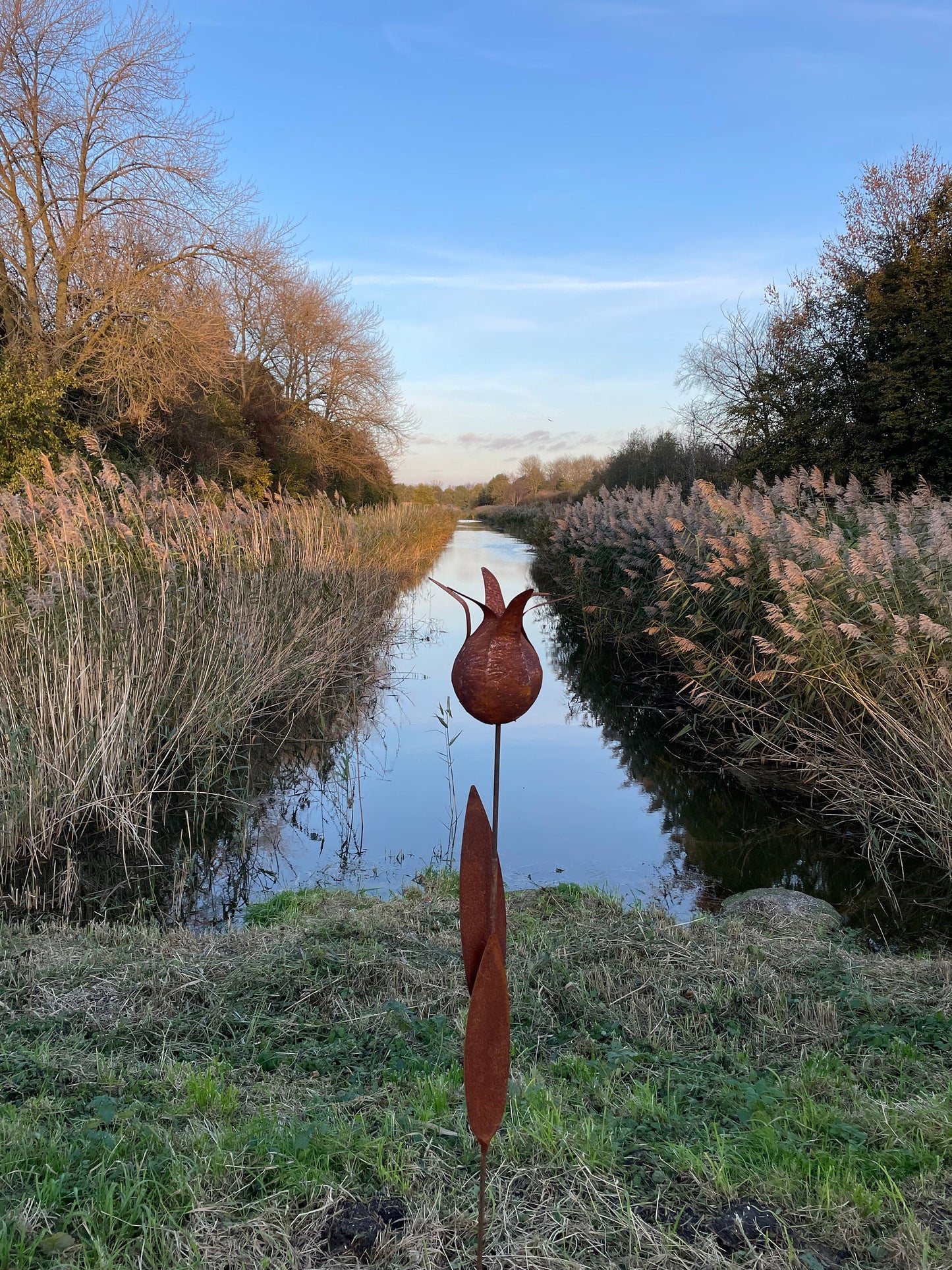 Tulip Silhouette – Iron Sculpture. 55x1x160cm