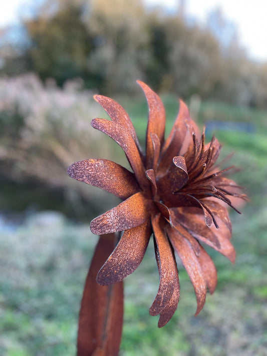 Tall Garden Flower – Iron Sculpture. 160cm height