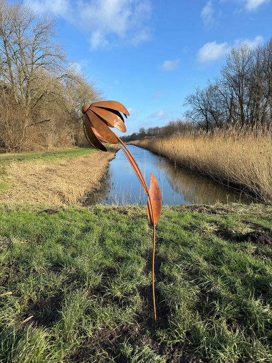 Wild Daisy – Iron Sculpture. 25x25x125cm