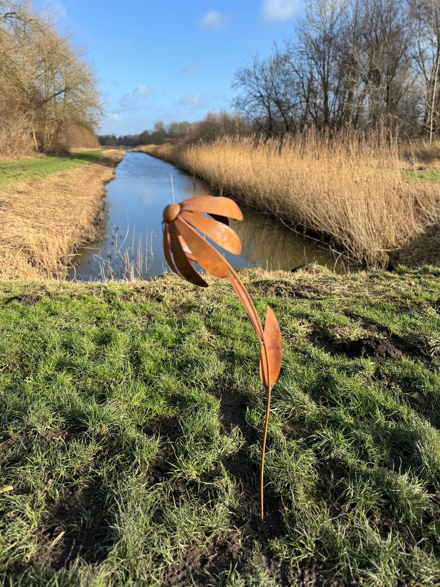 Wild Daisy – Iron Sculpture. 25x25x125cm
