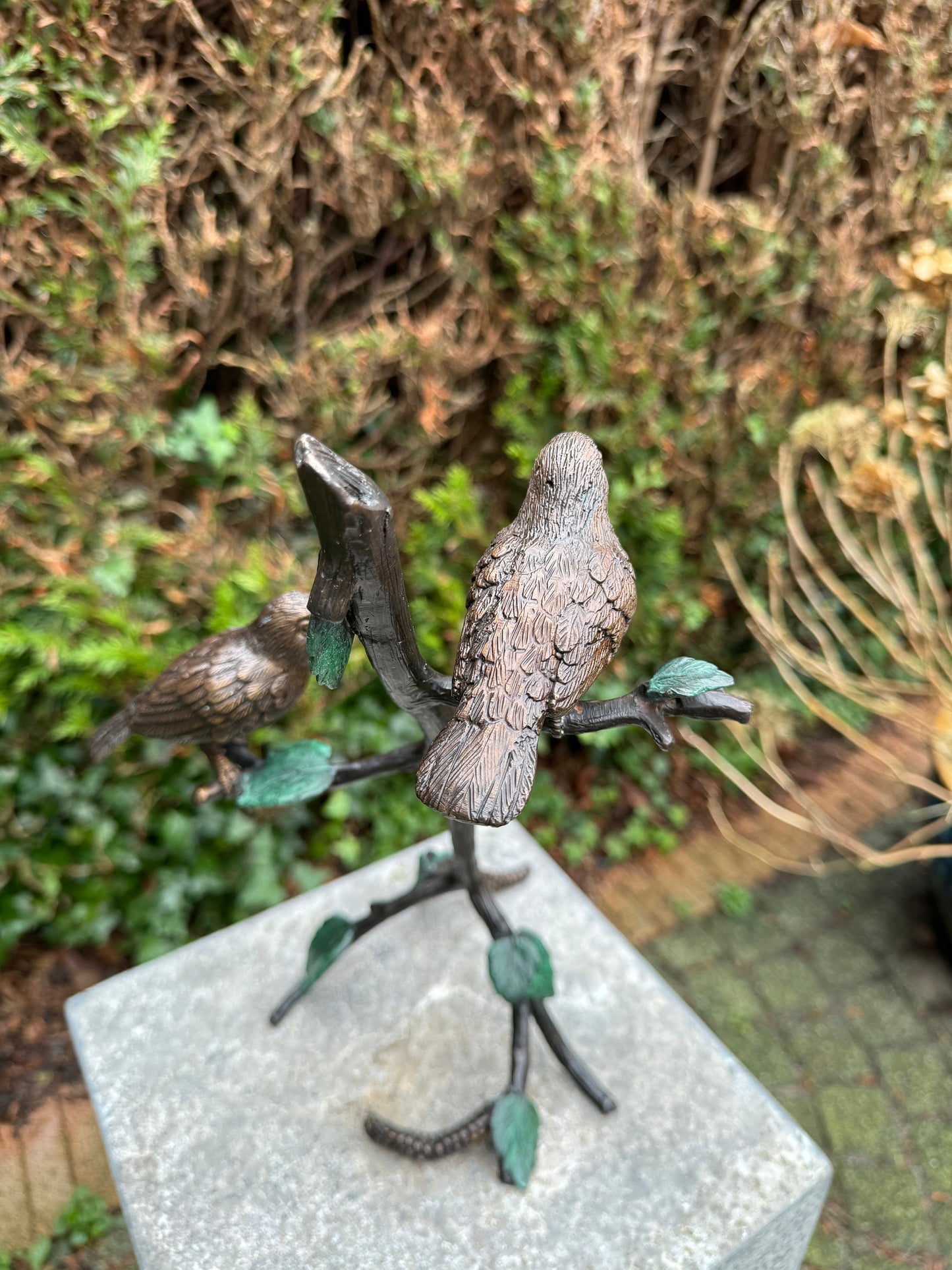 Two Birds on Branch – Bronze Sculpture. 19x13x32cm - 1.2Kg