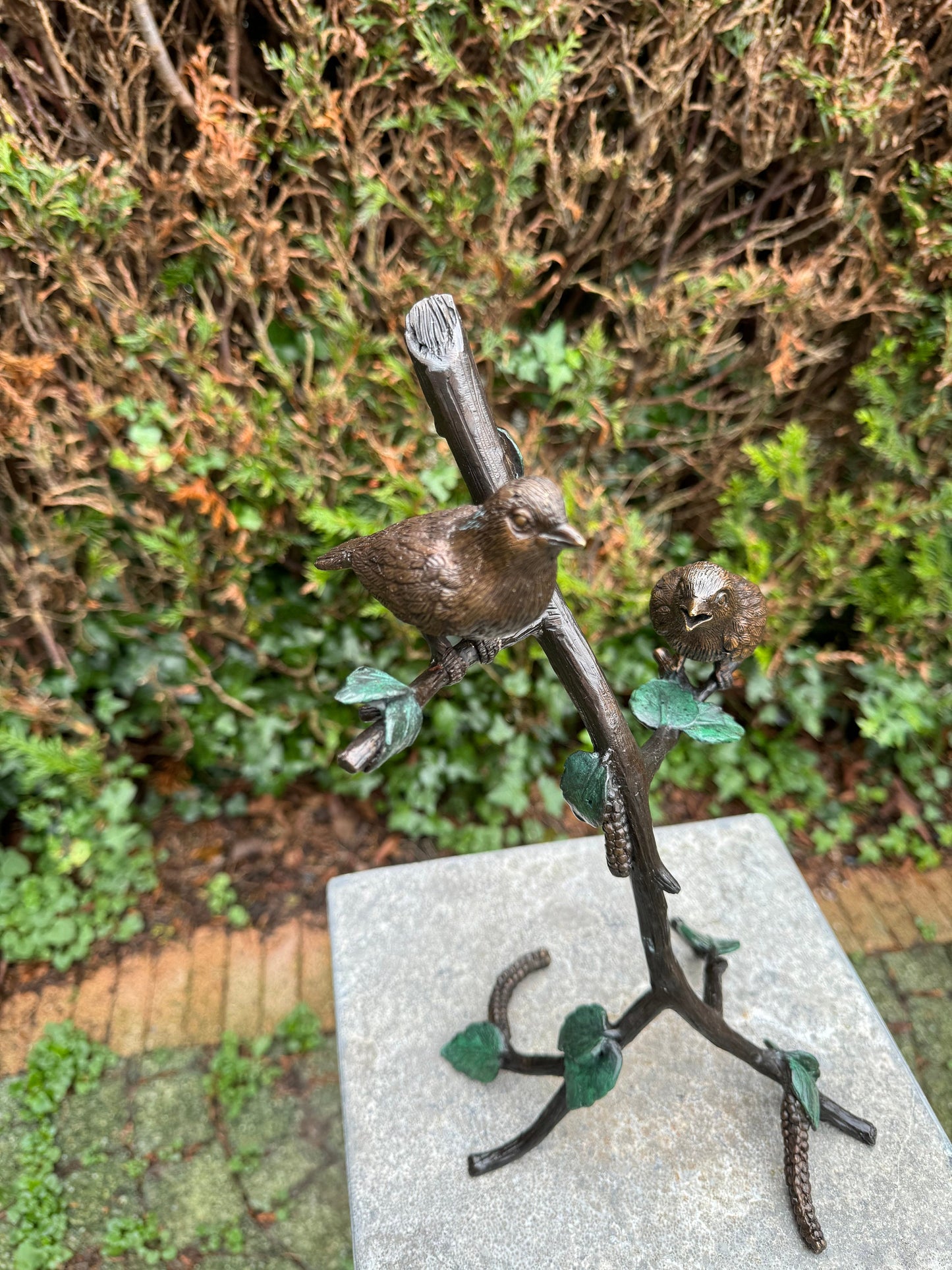 Two Birds on Branch – Bronze Sculpture. 19x13x32cm - 1.2Kg