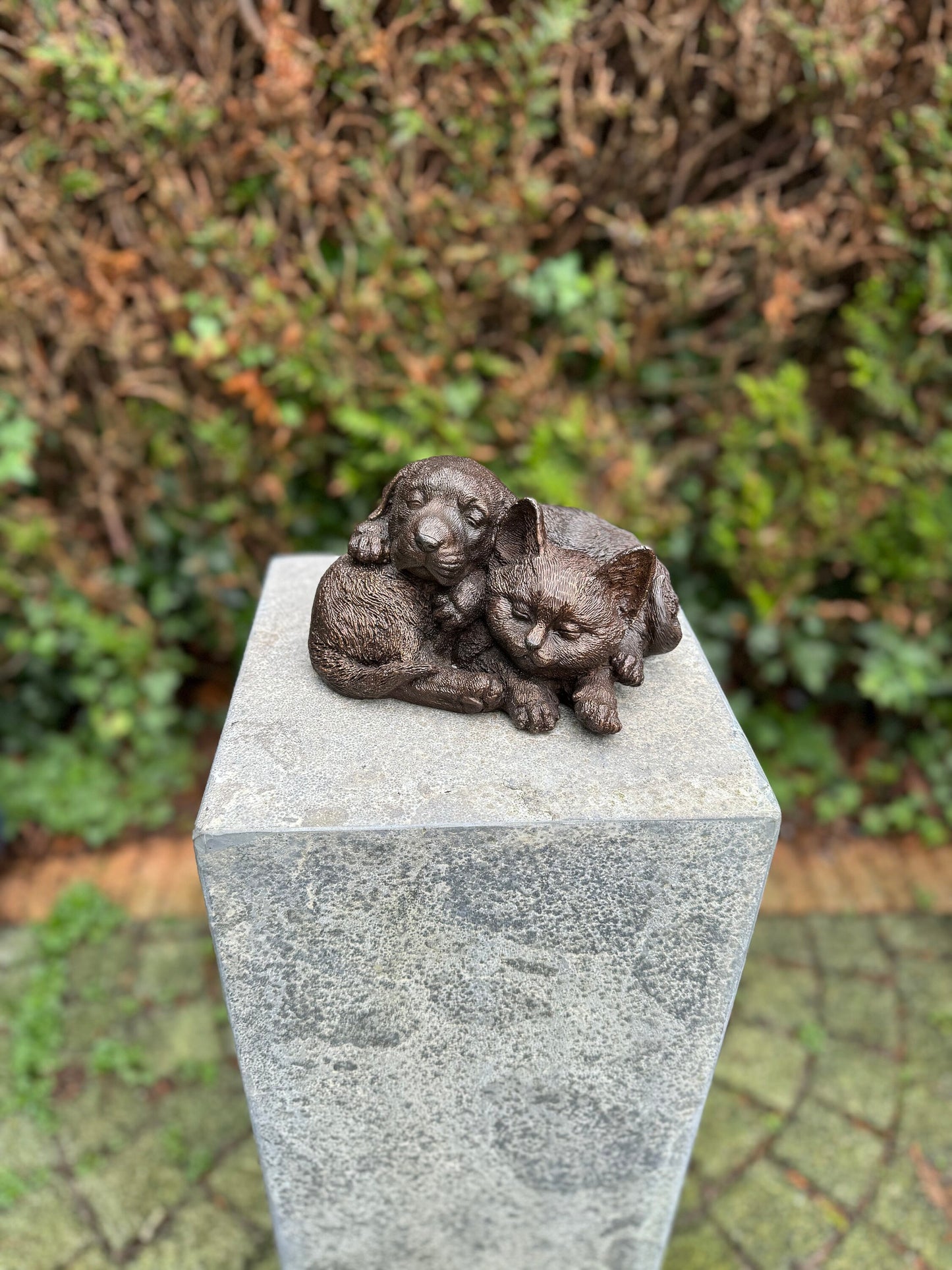 Cat & Dog Harmony – Bronze Sculpture. 19x15x12cm - 1.7Kg