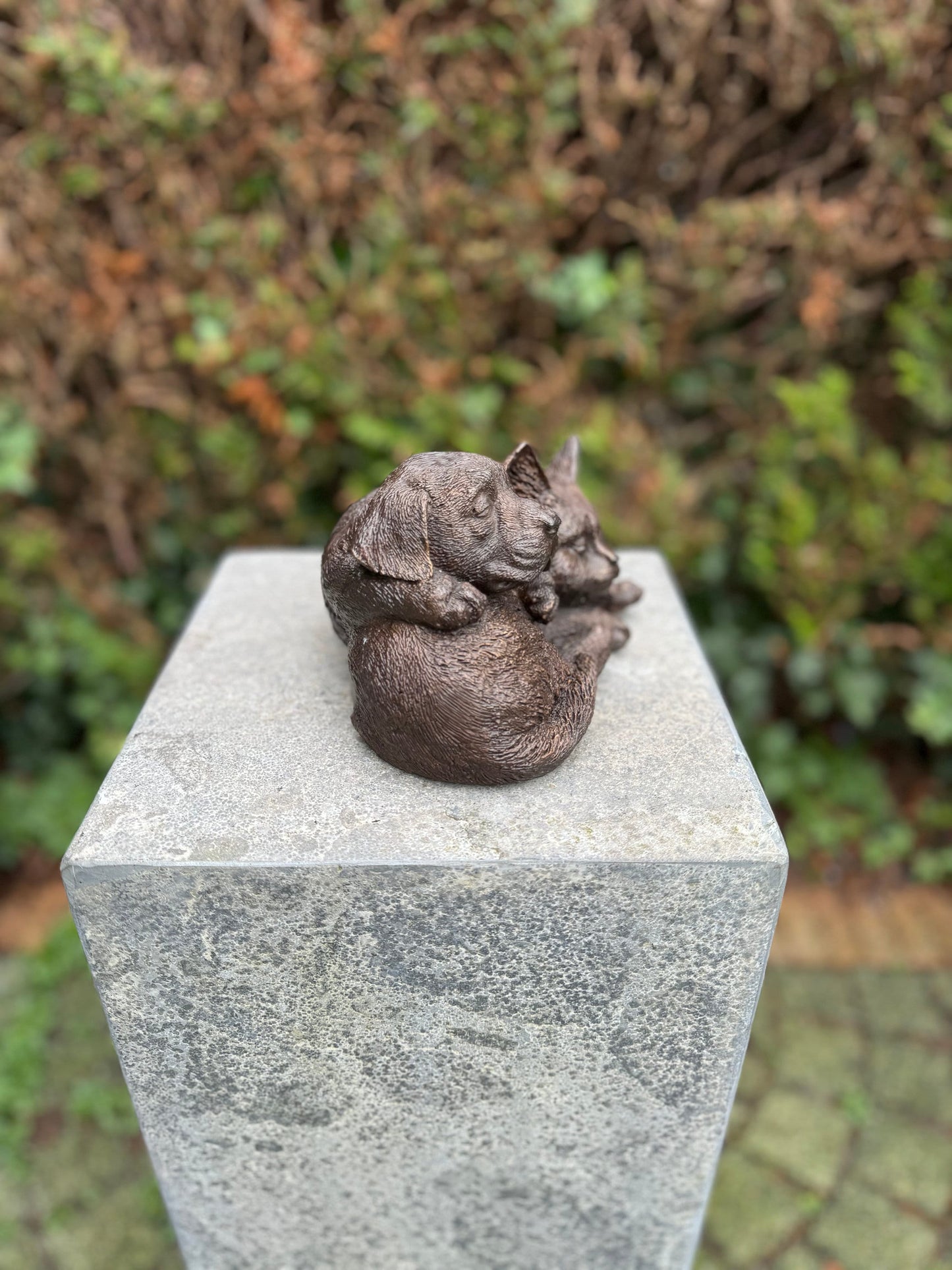 Cat & Dog Harmony – Bronze Sculpture. 19x15x12cm - 1.7Kg