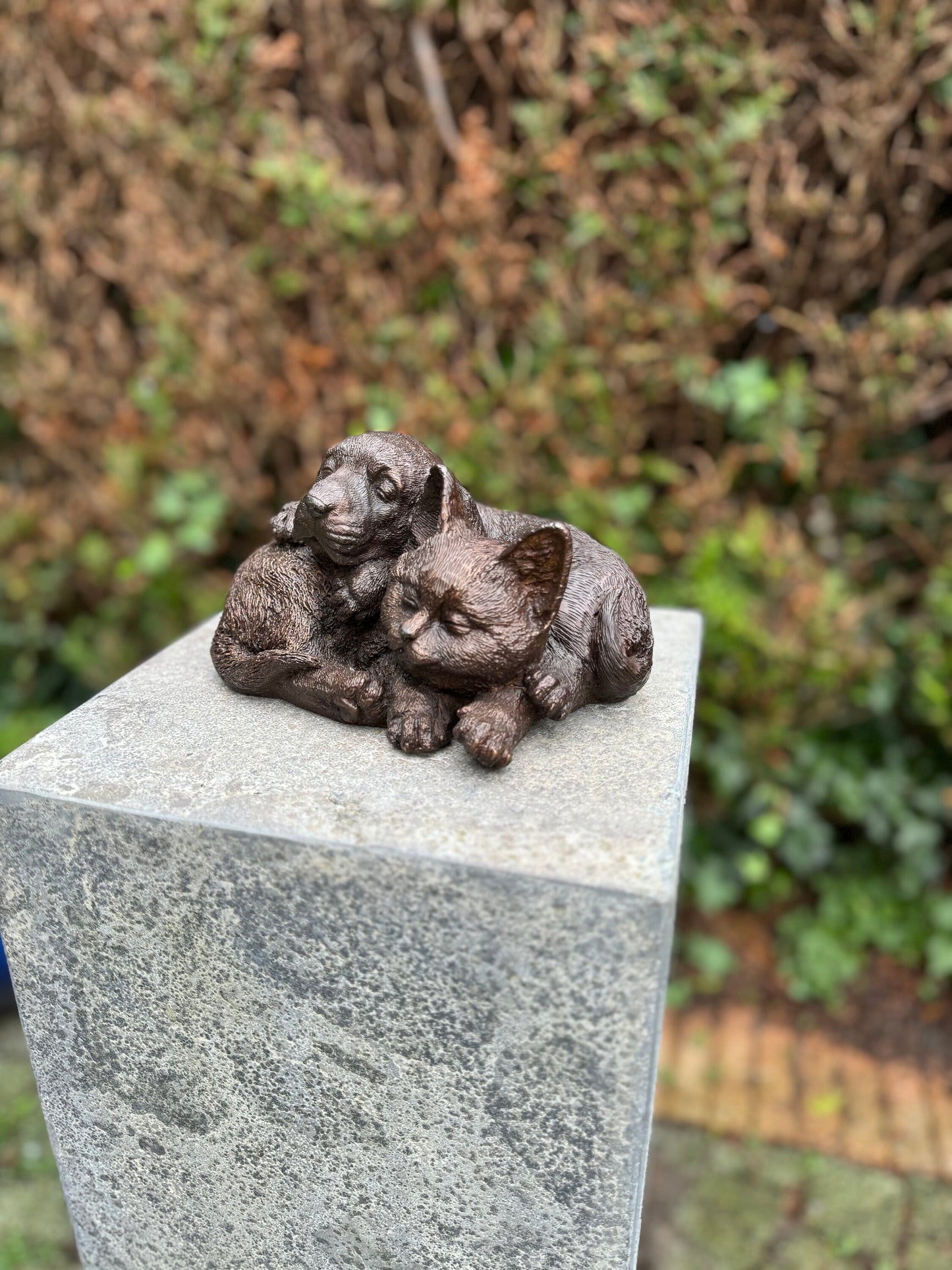 Cat & Dog Harmony – Bronze Sculpture. 19x15x12cm - 1.7Kg