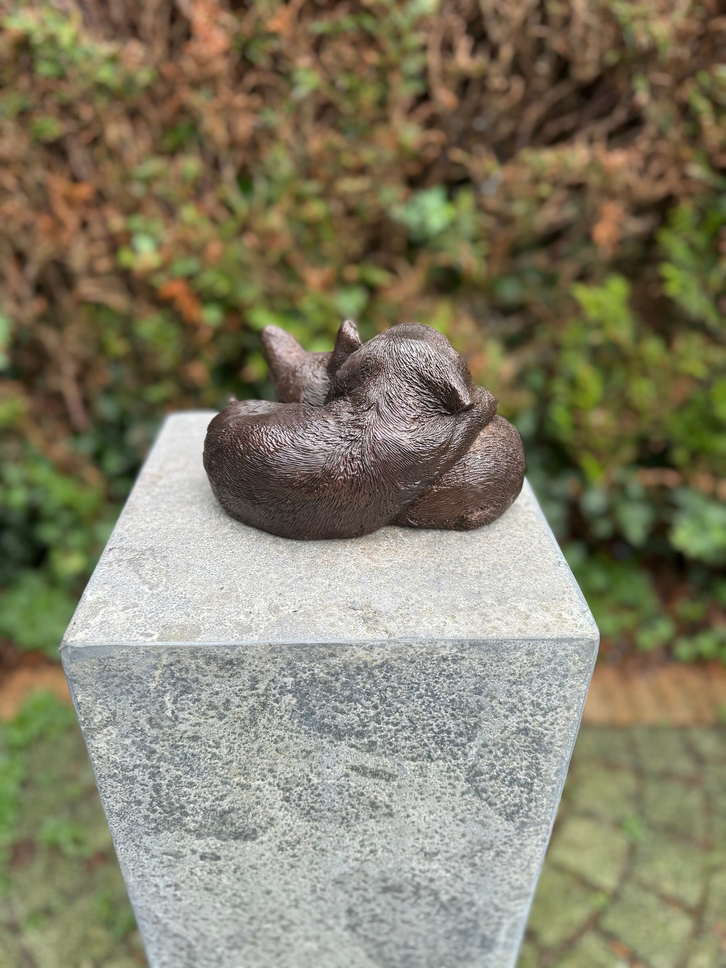 Cat & Dog Harmony – Bronze Sculpture. 19x15x12cm - 1.7Kg
