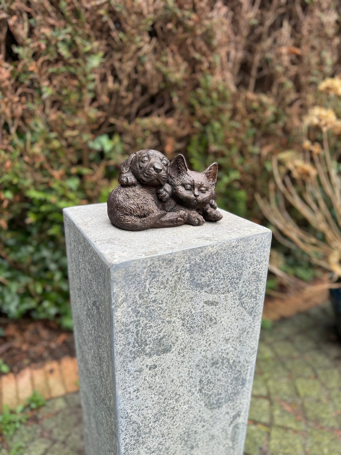 Cat & Dog Harmony – Bronze Sculpture. 19x15x12cm - 1.7Kg
