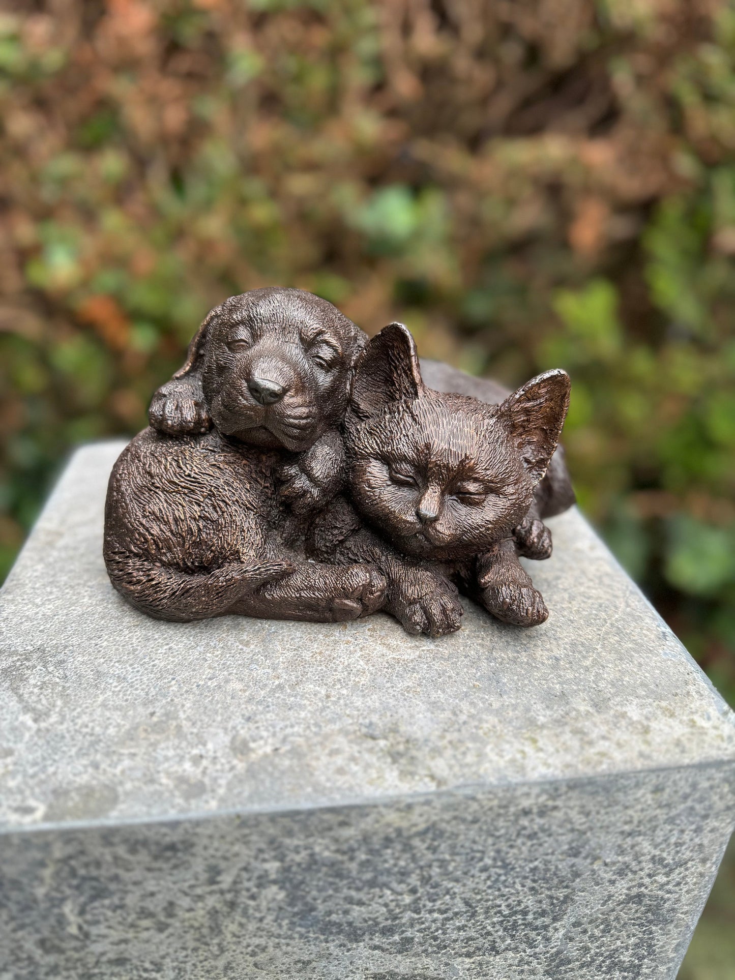 Cat & Dog Harmony – Bronze Sculpture. 19x15x12cm - 1.7Kg