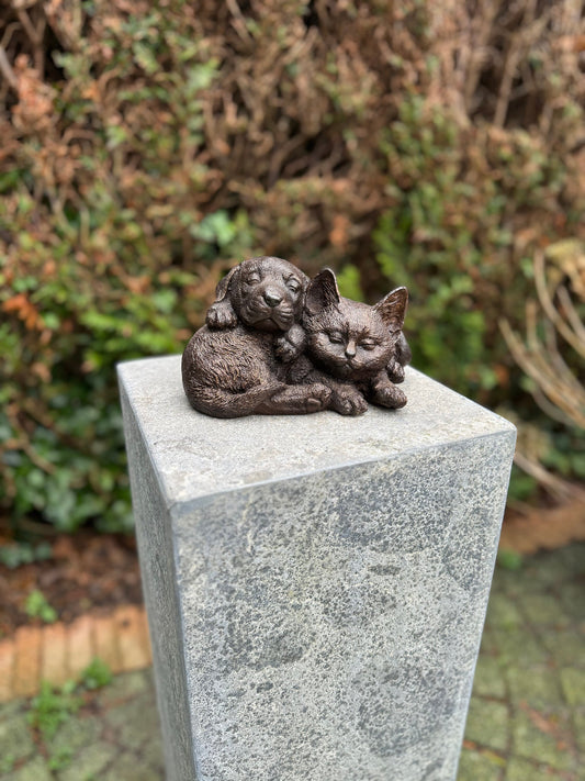 Cat & Dog Harmony – Bronze Sculpture. 19x15x12cm - 1.7Kg