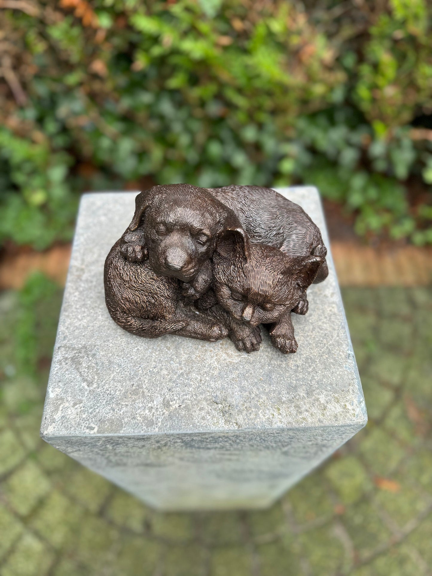 Cat & Dog Harmony – Bronze Sculpture. 19x15x12cm - 1.7Kg