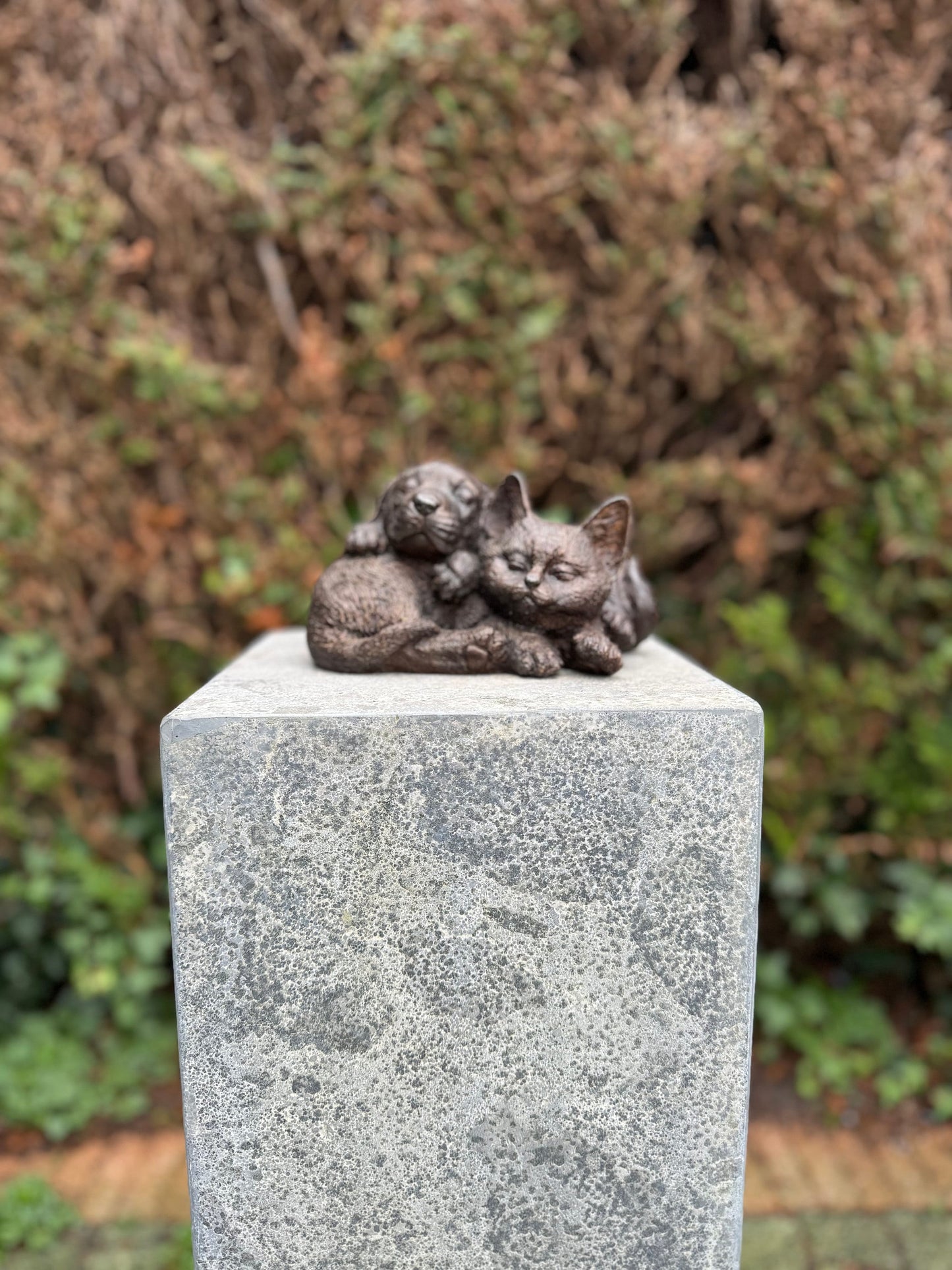 Cat & Dog Harmony – Bronze Sculpture. 19x15x12cm - 1.7Kg