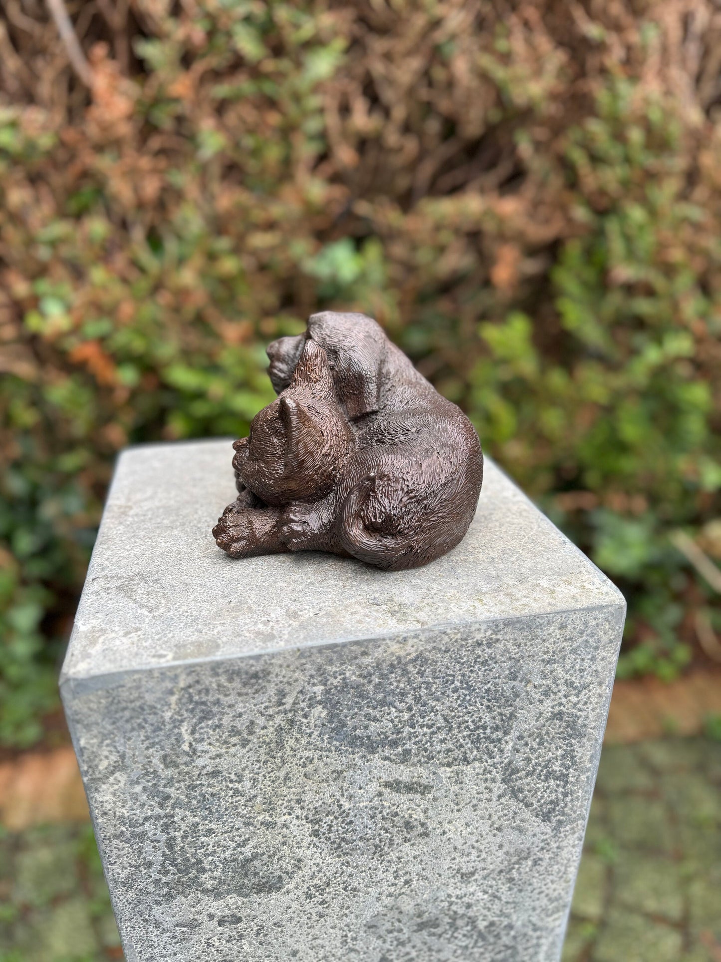 Cat & Dog Harmony – Bronze Sculpture. 19x15x12cm - 1.7Kg