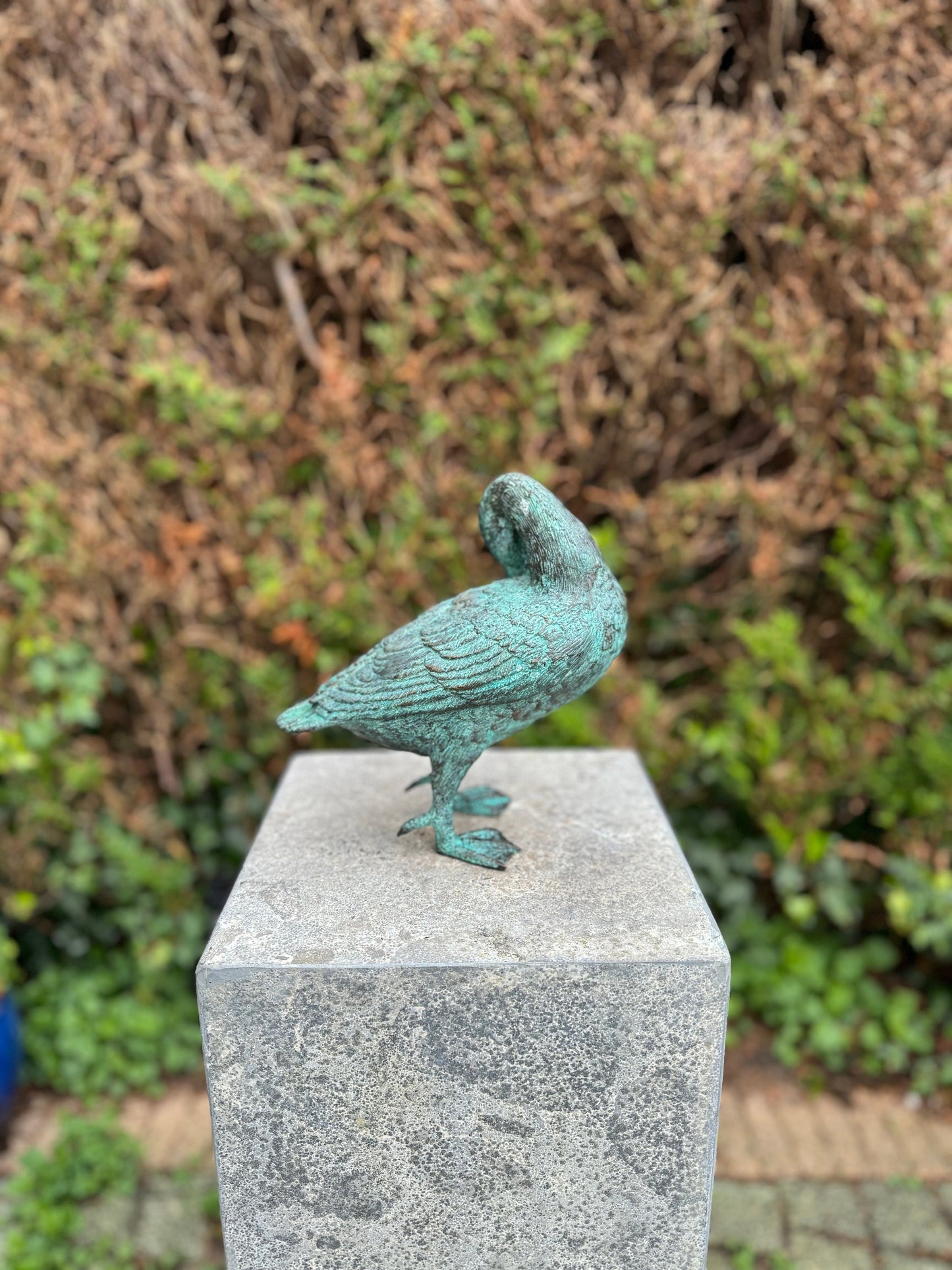 Grooming Duck – Bronze Sculpture. 21x22x23cm - 1.5Kg