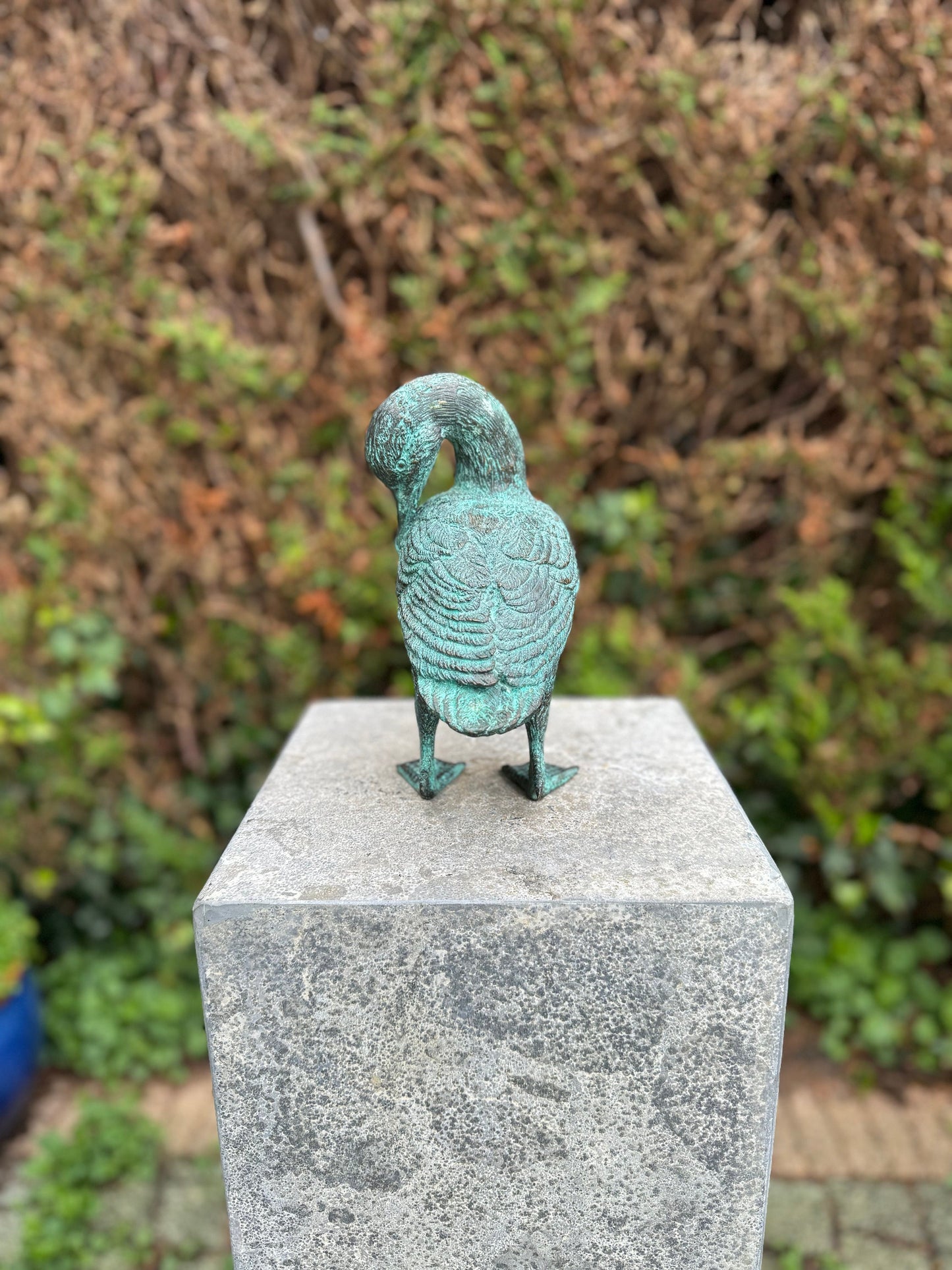 Grooming Duck – Bronze Sculpture. 21x22x23cm - 1.5Kg