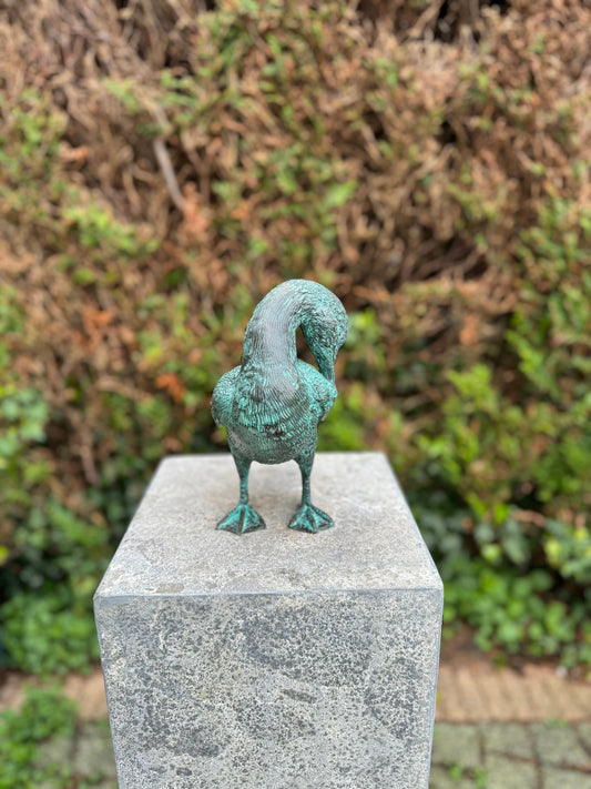 Grooming Duck – Bronze Sculpture. 21x22x23cm - 1.5Kg