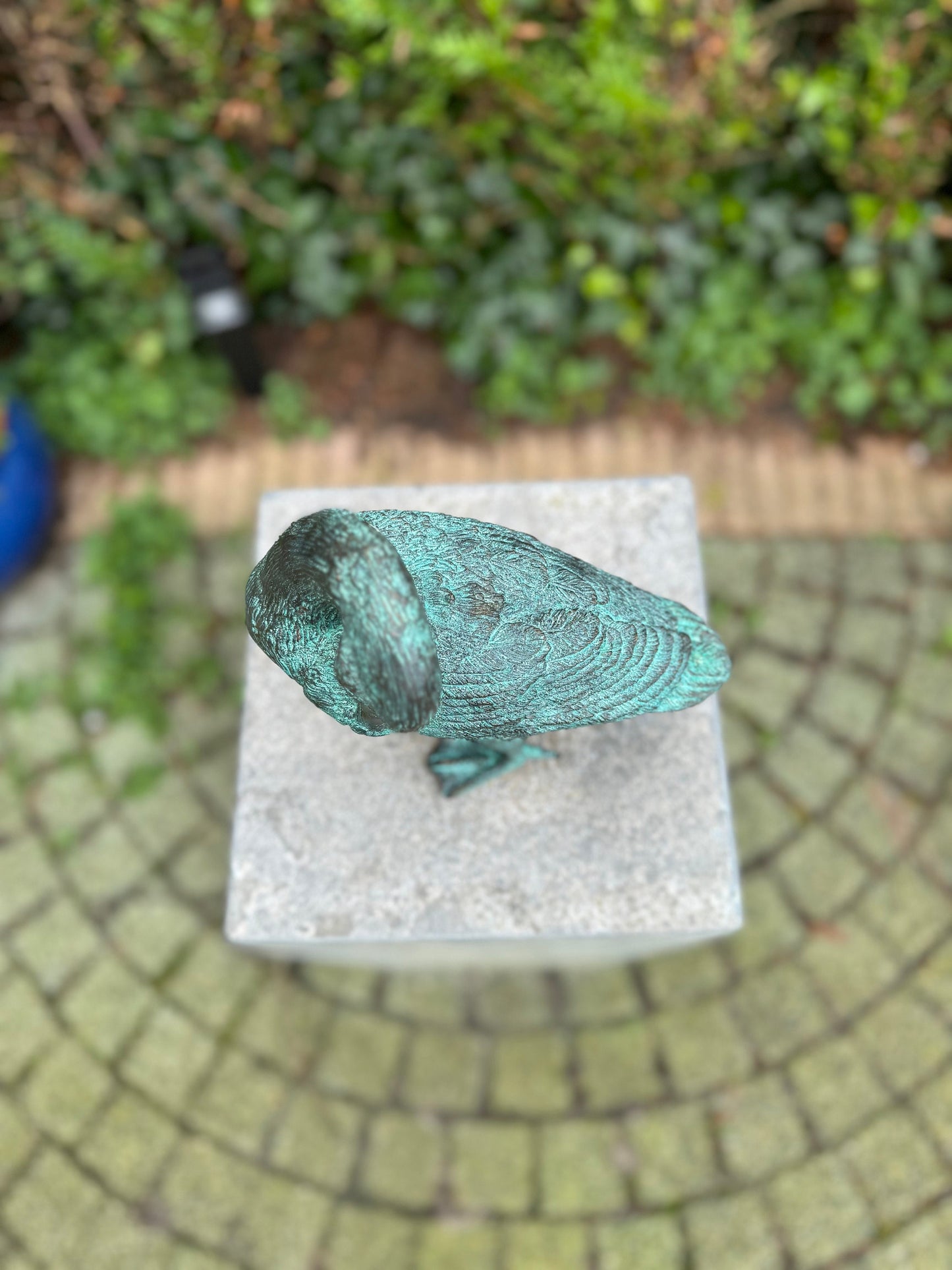 Grooming Duck – Bronze Sculpture. 21x22x23cm - 1.5Kg