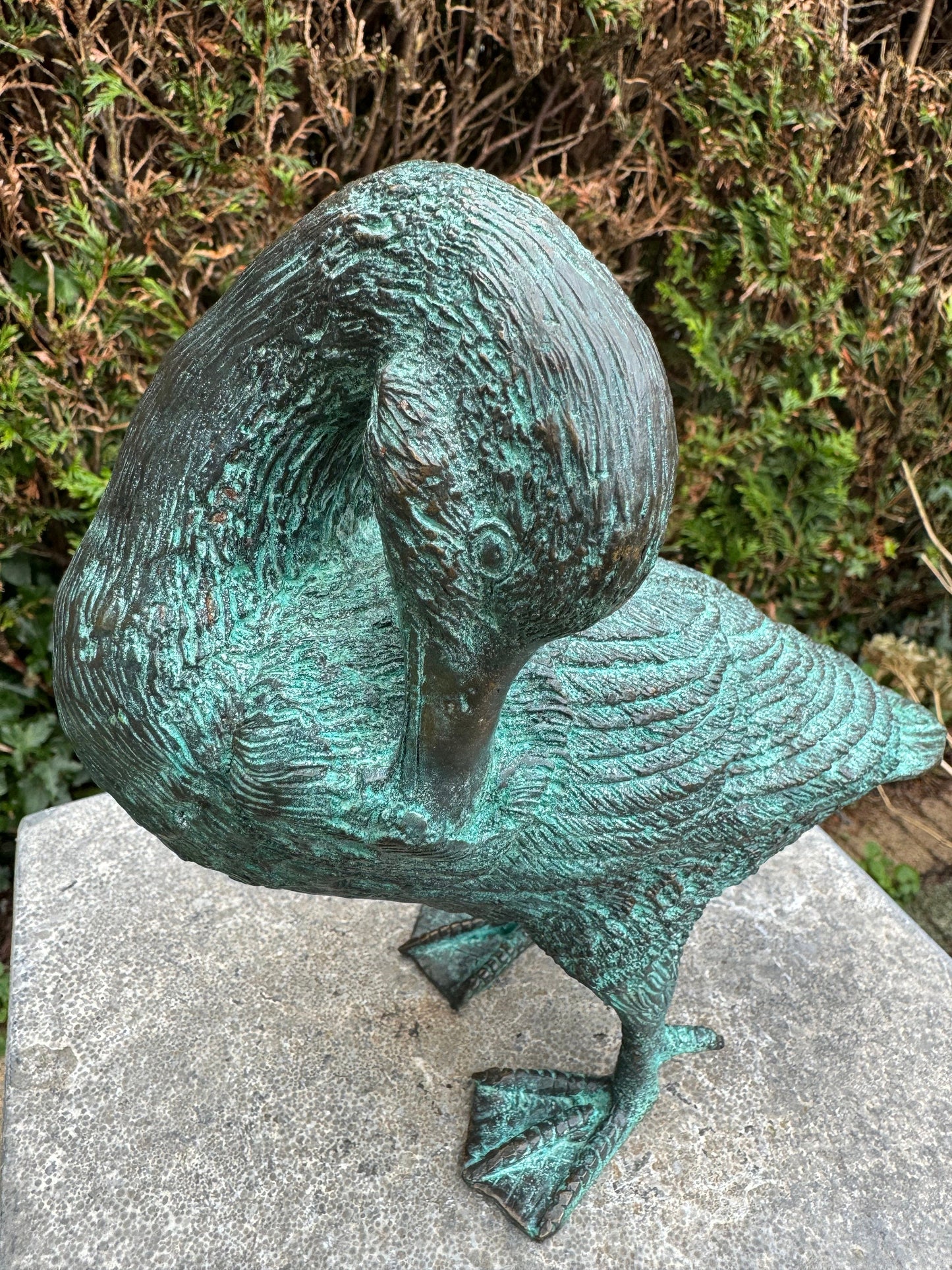 Grooming Duck – Bronze Sculpture. 21x22x23cm - 1.5Kg
