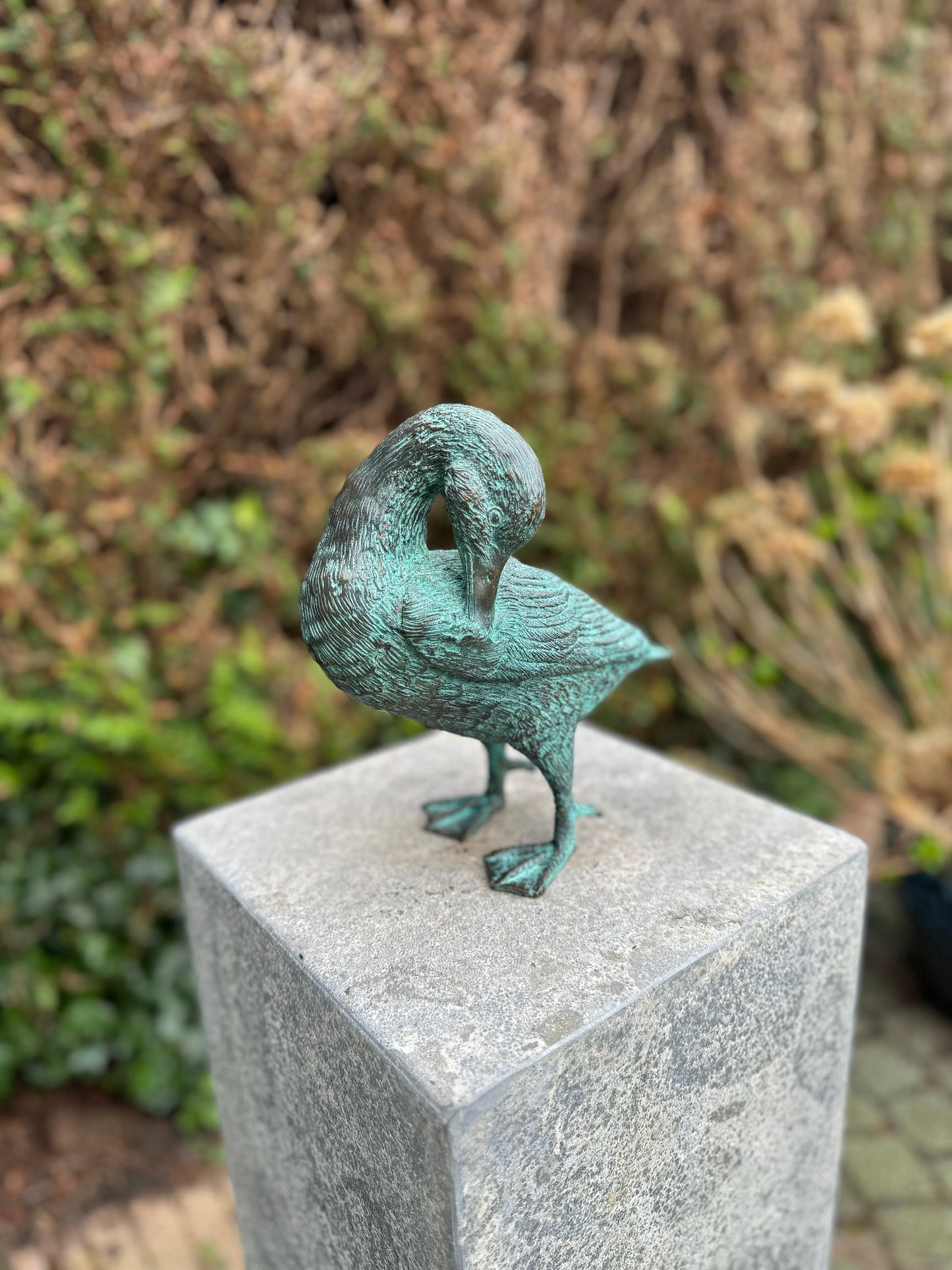 Grooming Duck – Bronze Sculpture. 21x22x23cm - 1.5Kg