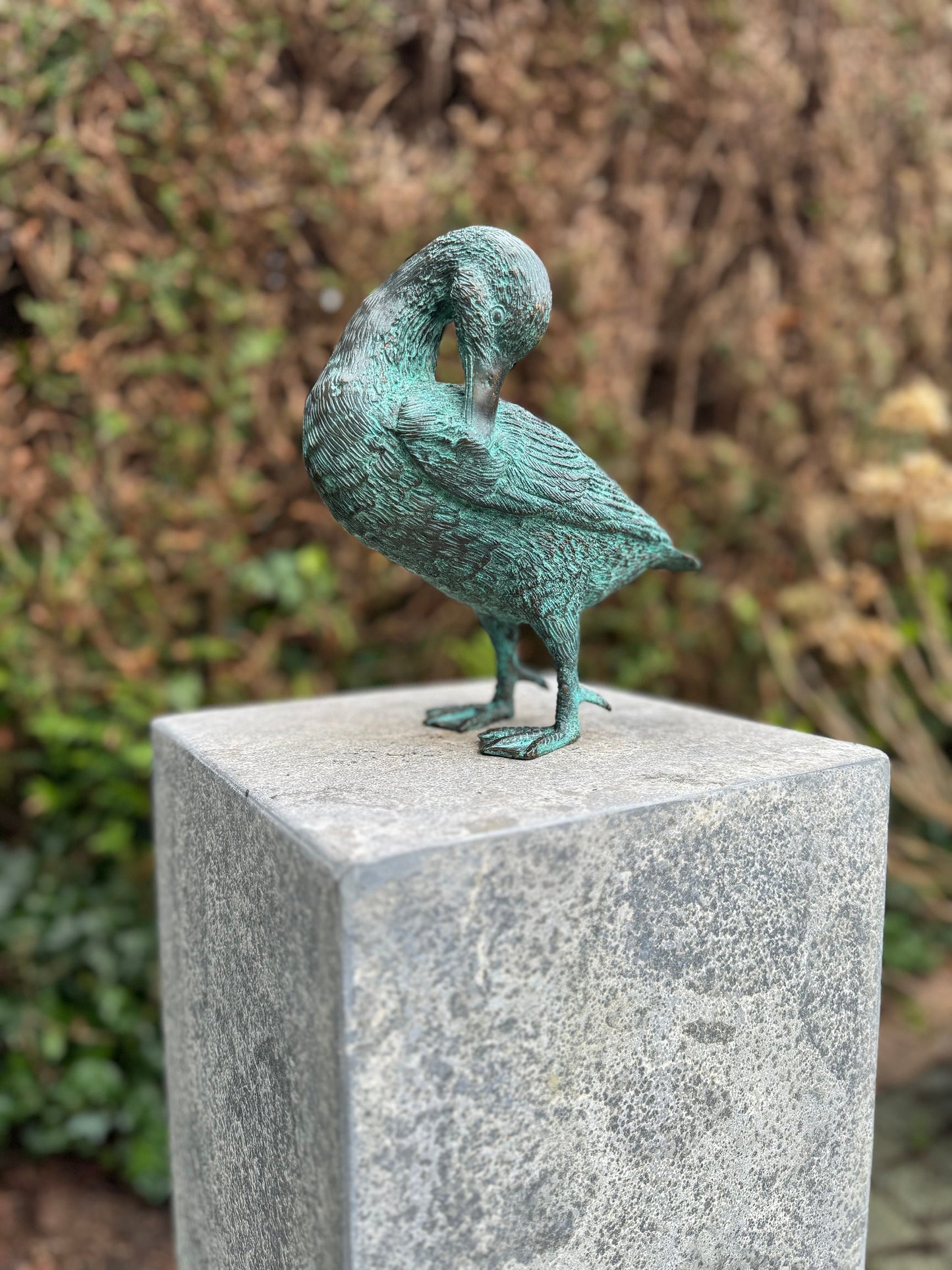 Grooming Duck – Bronze Sculpture. 21x22x23cm - 1.5Kg