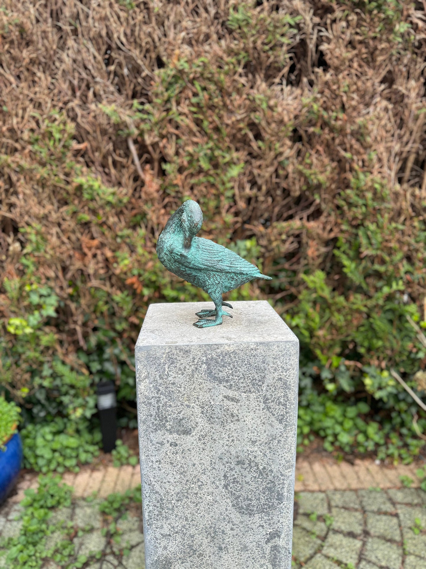 Grooming Duck – Bronze Sculpture. 21x22x23cm - 1.5Kg