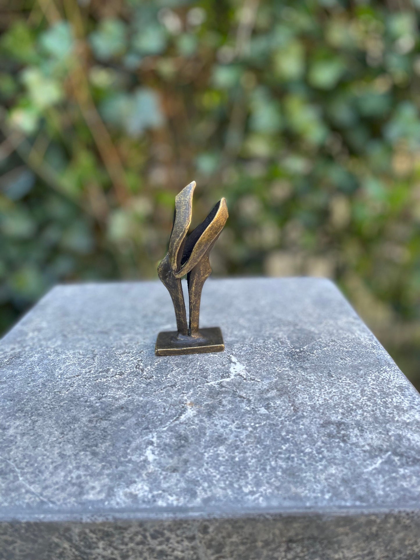 Fluid Motion – Bronze Sculpture. 15x13x45cm - 2.7Kg