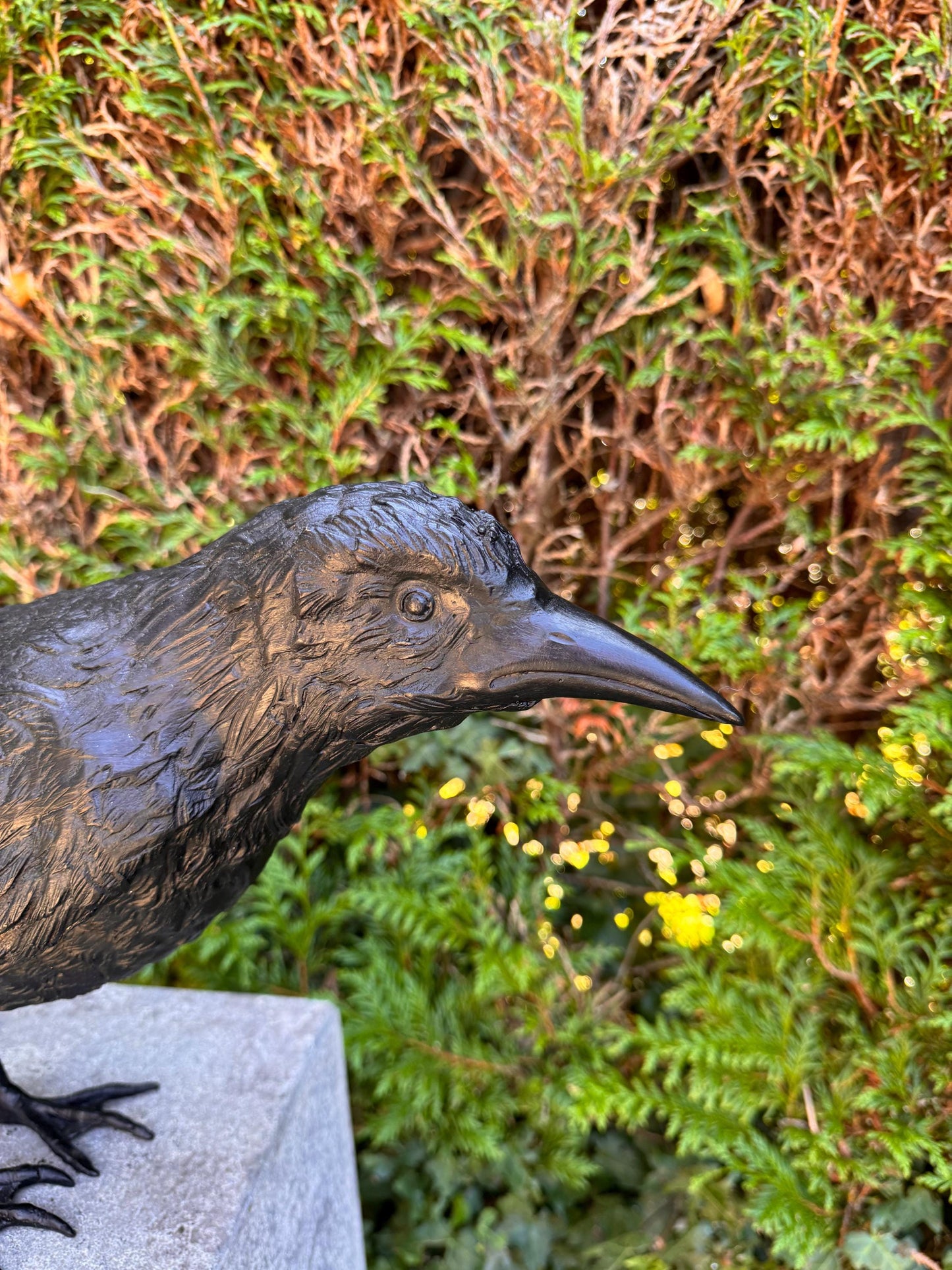 Majestic Raven – Bronze Sculpture. 55x13x37cm