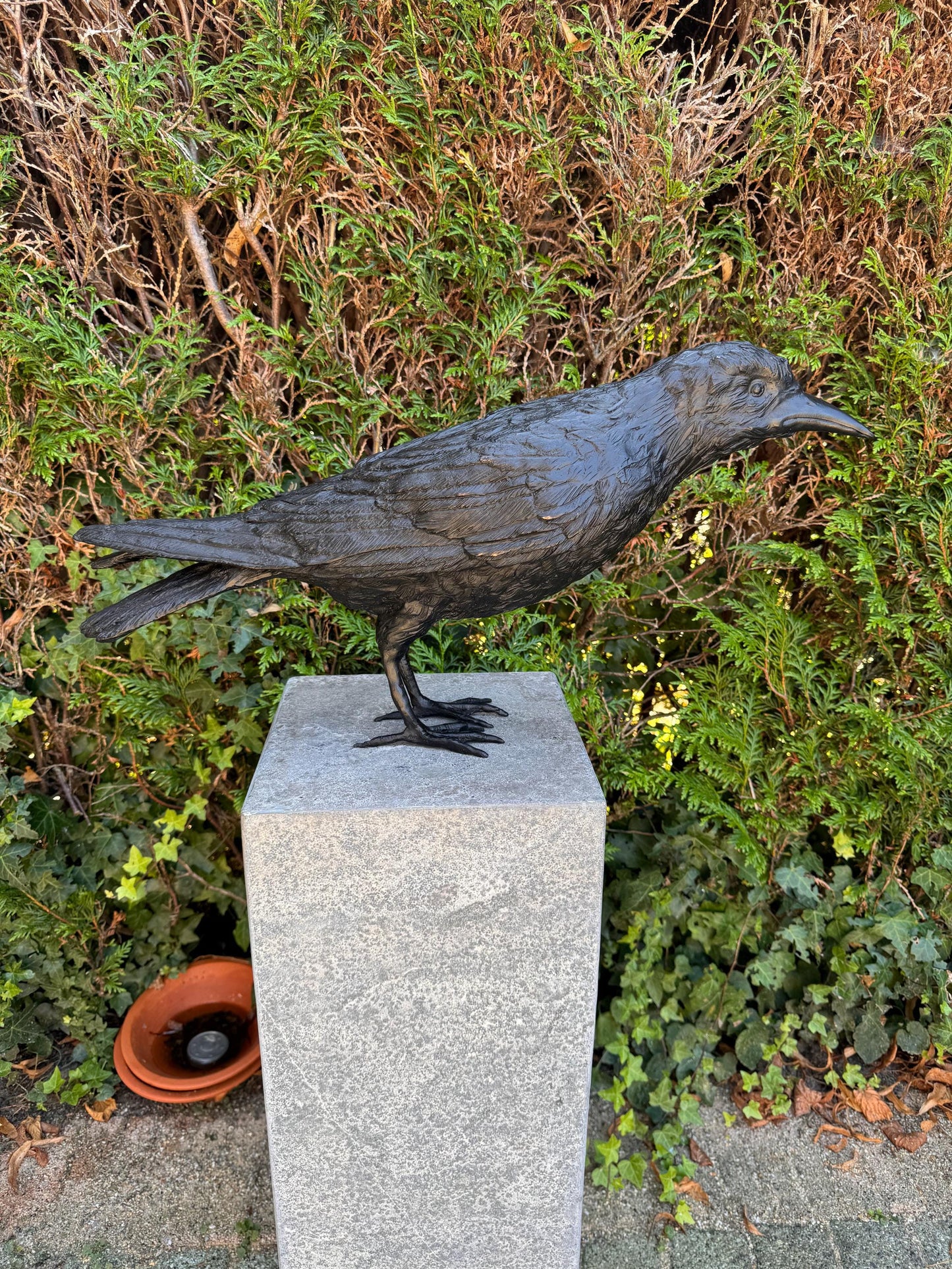 Majestic Raven – Bronze Sculpture. 55x13x37cm