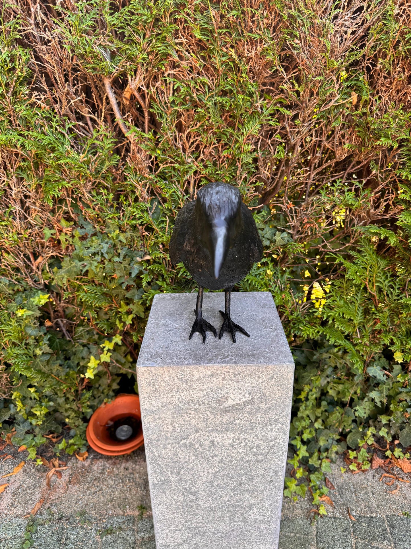 Majestic Raven – Bronze Sculpture. 55x13x37cm