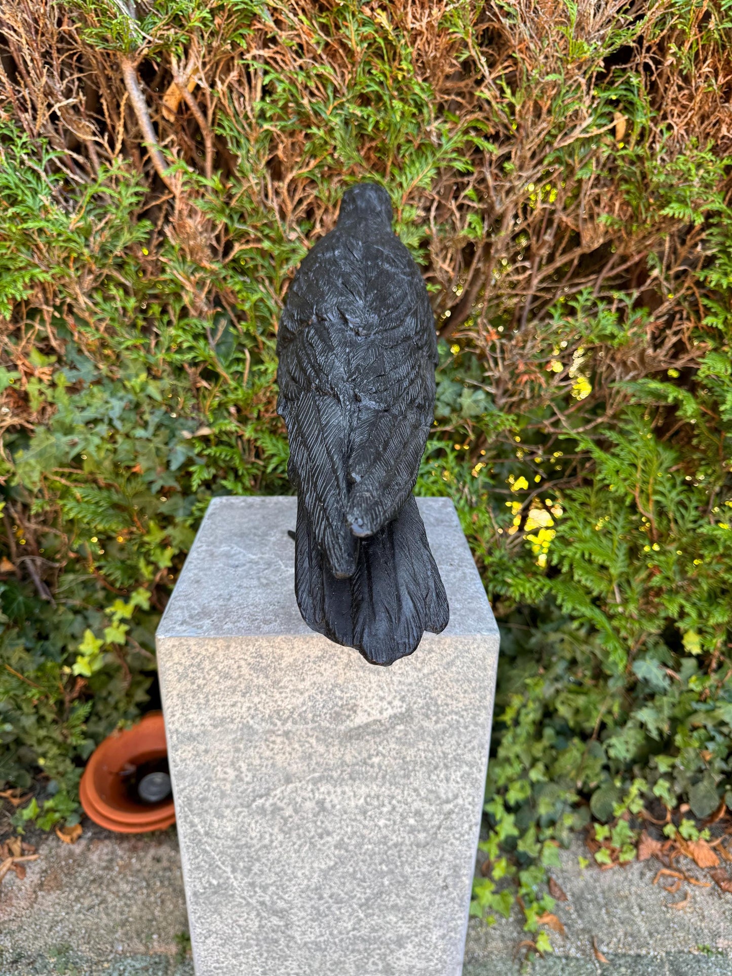 Majestic Raven – Bronze Sculpture. 55x13x37cm