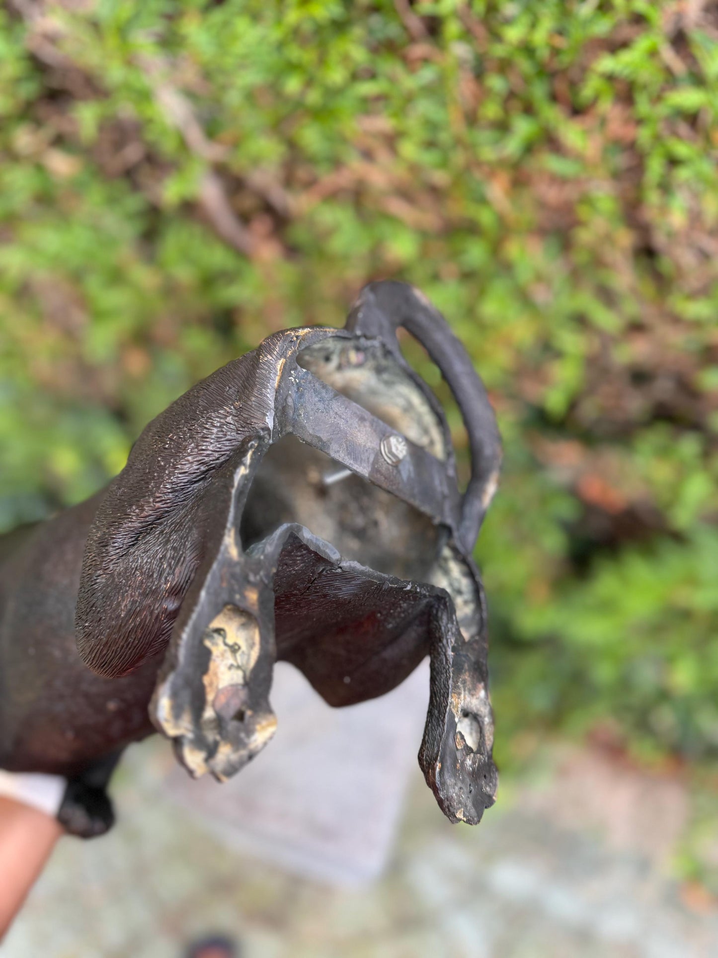 Begging Dachshund – Bronze Sculpture. 24x16x52cm - 7.4Kg
