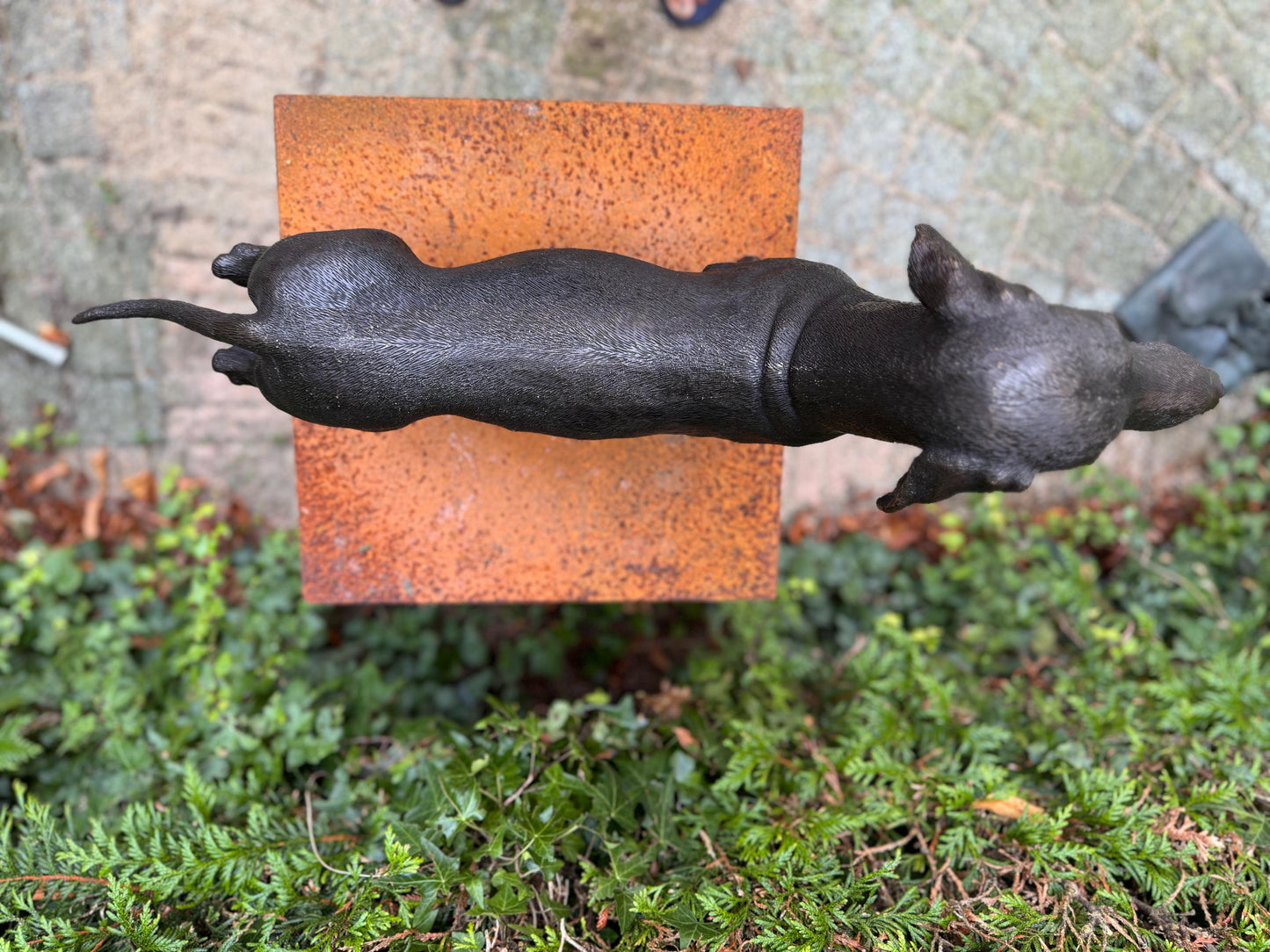 Standing Dachshund – Bronze Sculpture. 69x17x33cm - 7.4Kg