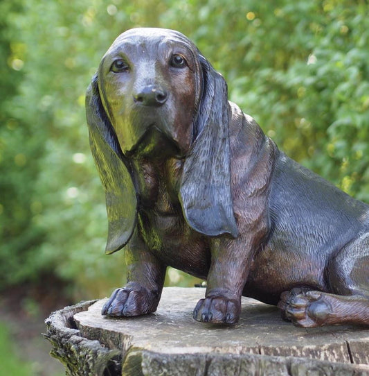 Basset Hound – Bronze Sculpture. 52x34x39cm