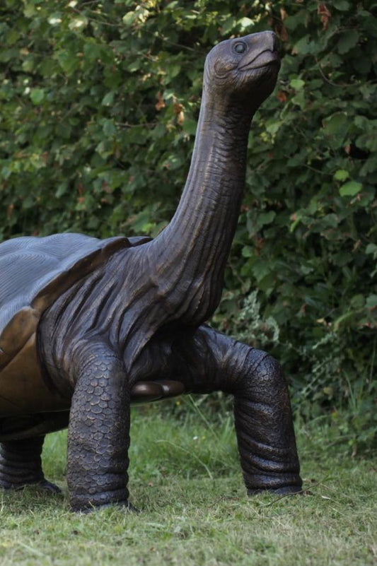 Giant Tortoise – Bronze Sculpture. 155x110x150cm - 40Kg