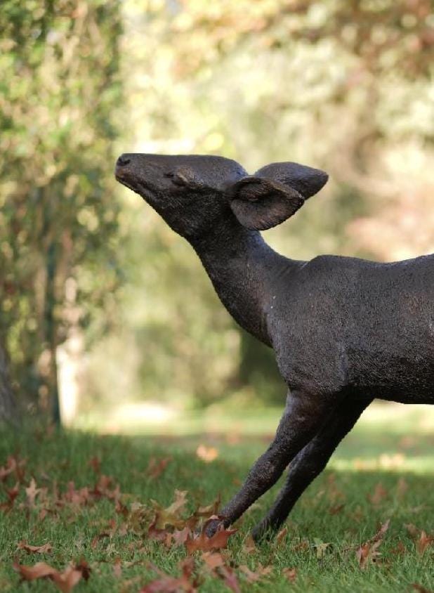 Graceful Fawn – Bronze Sculpture. 81x40x60cm - 14Kg