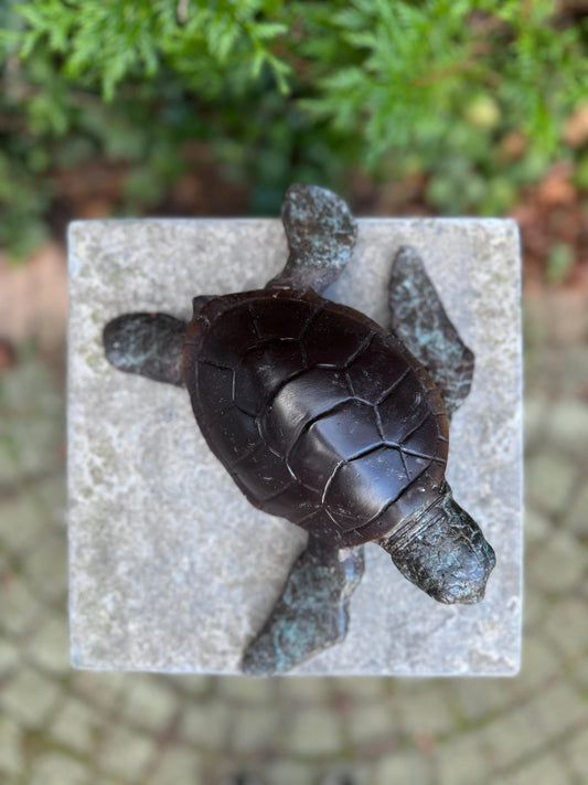 Sea Turtle – Bronze Sculpture. 6x22x23cm - 1.5Kg