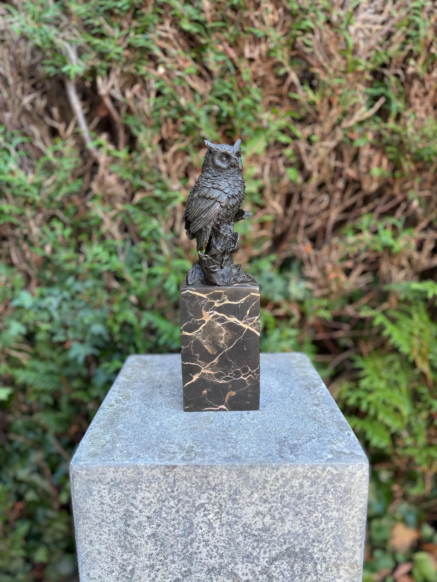 Silent Wisdom – Bronze Sculpture. 27x8x9cm - 2.7Kg