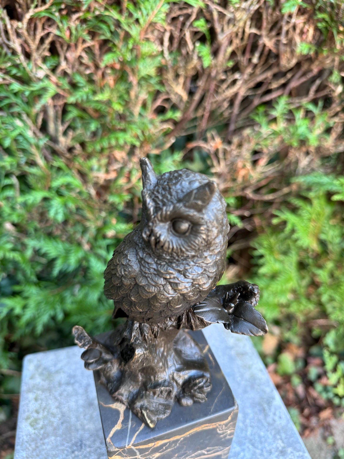 Silent Wisdom – Bronze Sculpture. 27x8x9cm - 2.7Kg