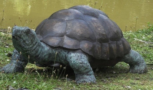 Wise Tortoise – Bronze Sculpture. 90x55x35cm - 14Kg