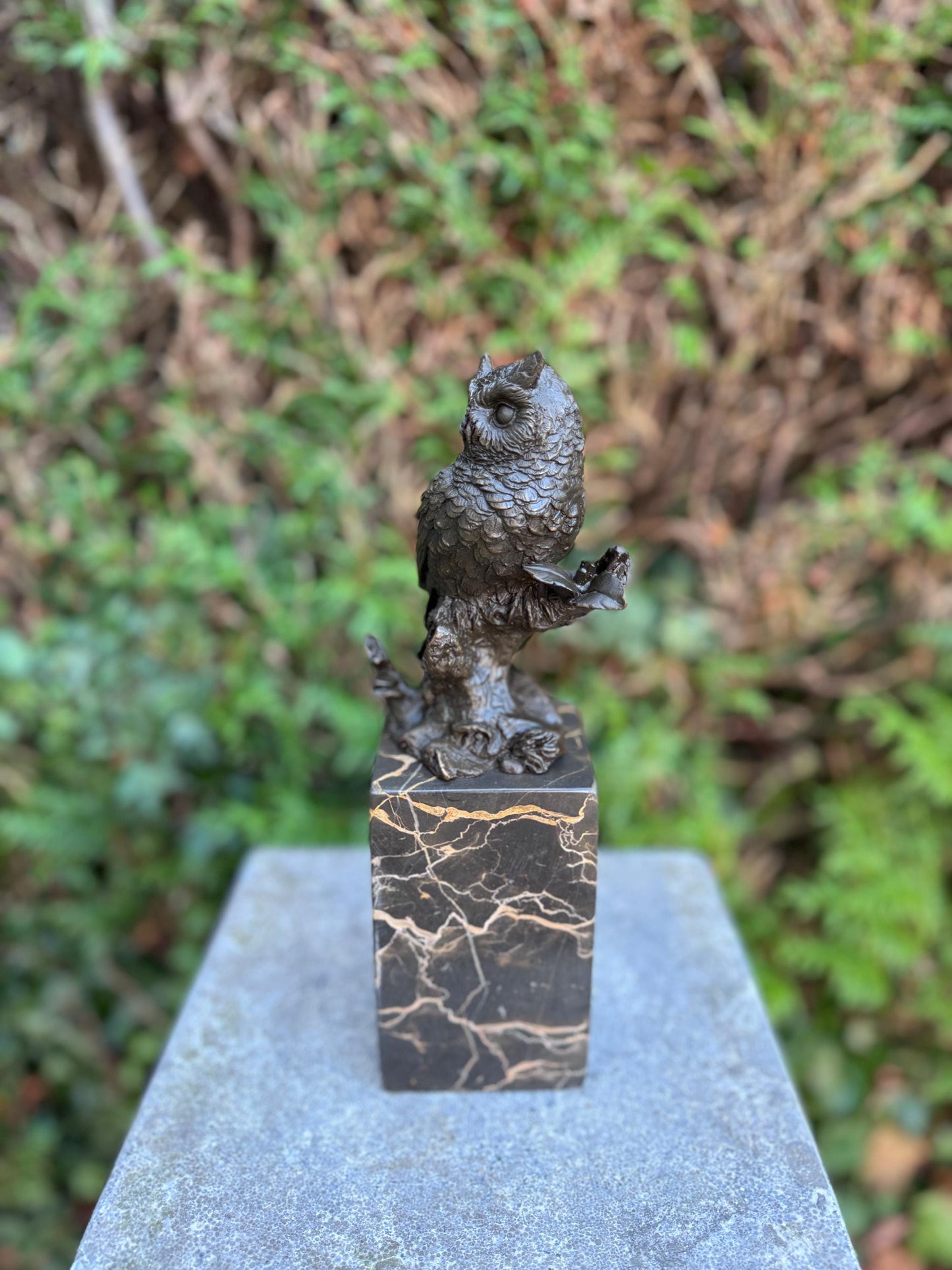 Silent Wisdom – Bronze Sculpture. 27x8x9cm - 2.7Kg