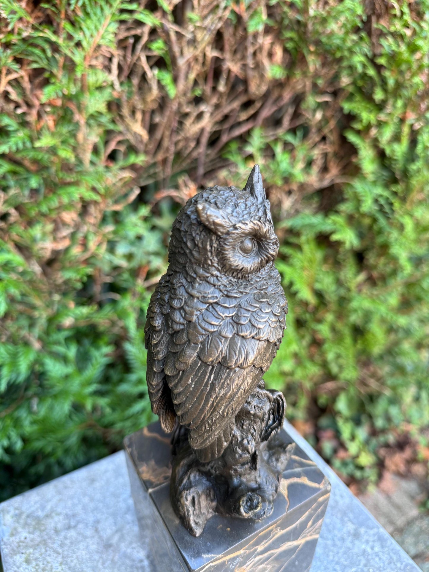 Silent Wisdom – Bronze Sculpture. 27x8x9cm - 2.7Kg
