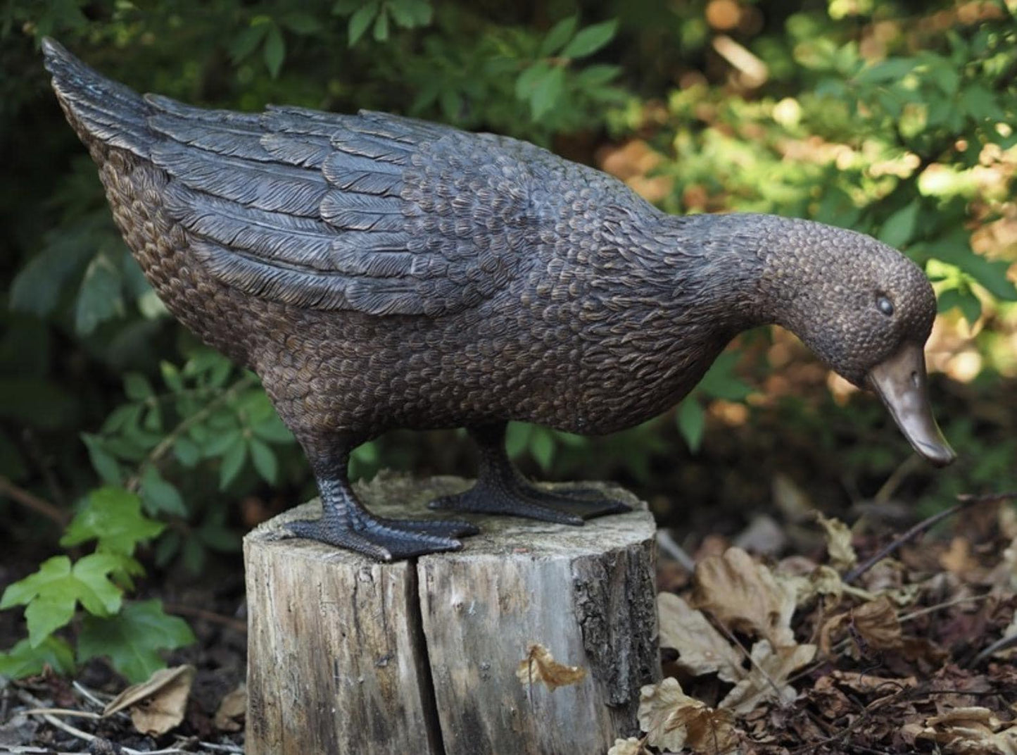 Curious Duck – Bronze Sculpture. 57x22x30cm - 1.4Kg