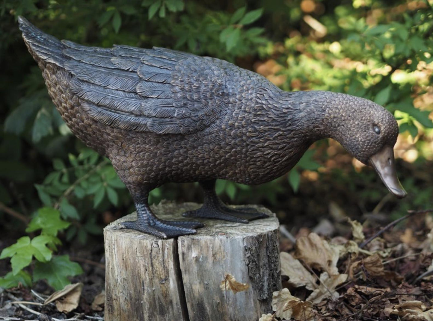 Curious Duck – Bronze Sculpture. 57x22x30cm - 1.4Kg