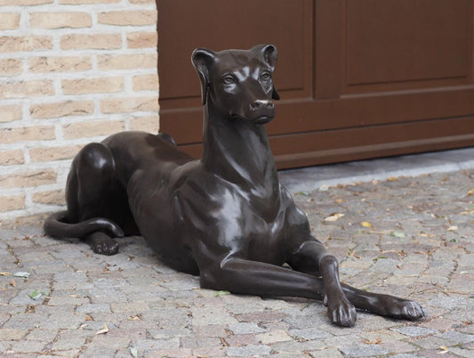 Resting Greyhound – Bronze Sculpture. 130x31x51cm - 12Kg