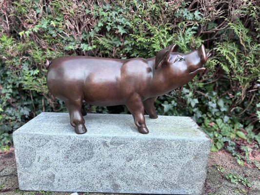 Happy Pig – Bronze Sculpture. 67x30x35cm - 3Kg