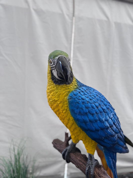 Blue Macaw on Branch – Bronze Sculpture. 70x70x168cm - 15Kg