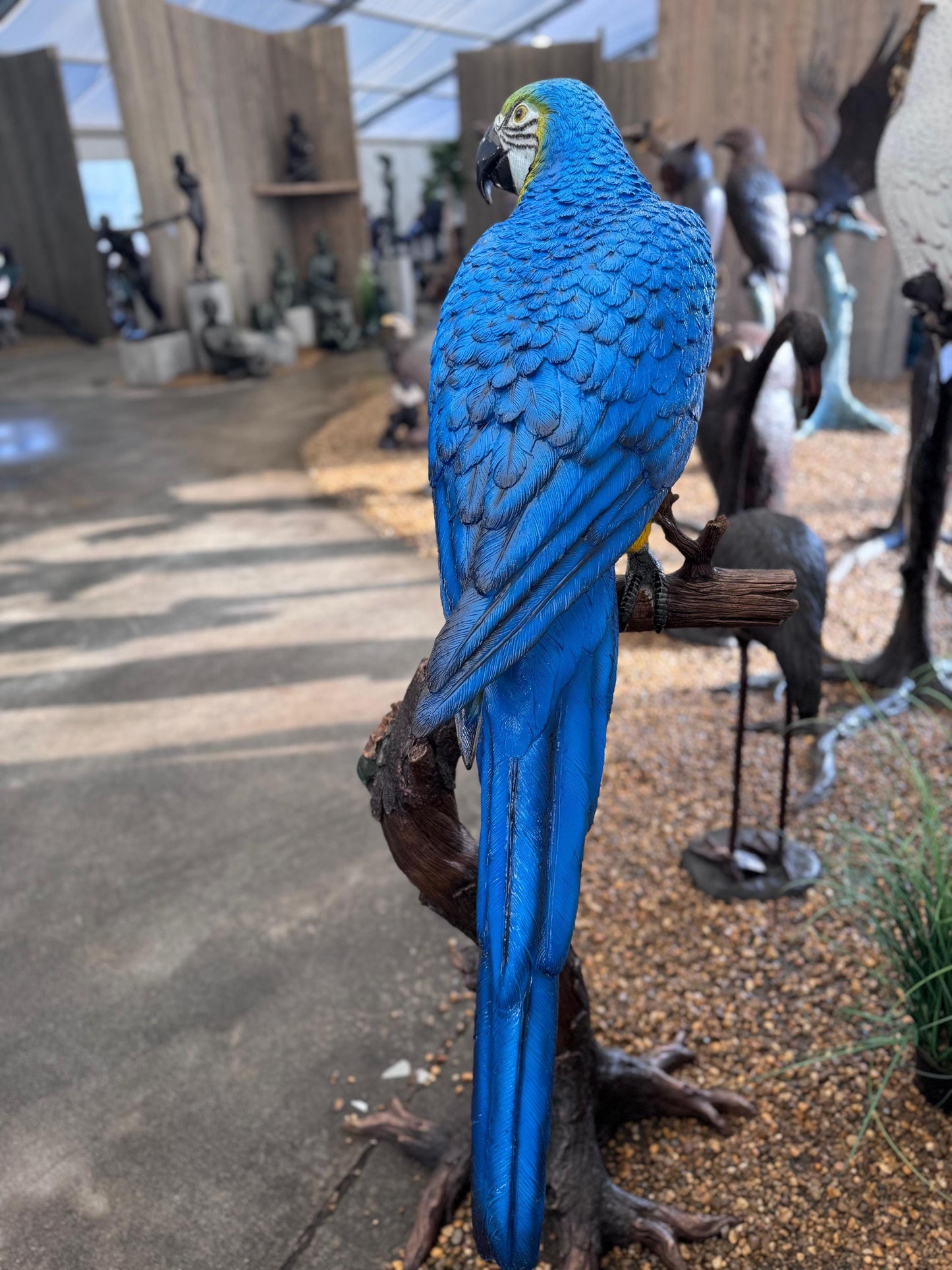 Blue Macaw on Branch – Bronze Sculpture. 70x70x168cm - 15Kg