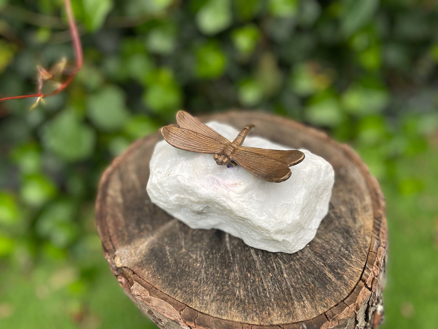 Dragonfly on Stone – Bronze Sculpture. 8x7x3cm